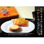 お歳暮 お歳暮ギフト 御歳暮 歳暮  和歌山みかんラングドシャ 10枚入  お年賀 年賀  御年賀 送料無料 高級 ギフト 人気 おすすめ 詰め合わせ ランキング