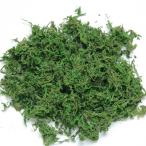 【メール便可/同梱不可】鈴虫の天然ゴケ 約6g i03 SANKO(三晃/サンコー)