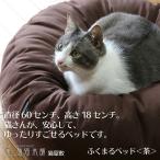 �ӂ��܂�x�b�h �� �L����̑�^�x�b�h