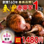 【創業160年の最高品質】里芋 1kg 送料無料 宮崎県都城産 さといも サトイモ 赤芽芋 セレベス 里いも