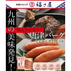 送料無料 明太子に合う!さとふるで1位の唐津バーグ ハンバーグ140g×4個と贈答用 無着色辛子めんたい180g×1個セット