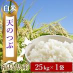 ショッピング和 令和５年　福島県中通り産　天のつぶ　希少品種　白米２５kg｜精米　計25キロ