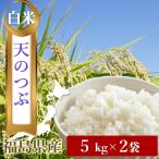 福島県産、会津産は米どころ！コシヒカリ、天のつぶがお勧め！　令和７年新米　福島県中通り産　天のつぶ　希少品種　白米５kg×２袋／計精米10キロ