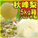 ショッピング梨 秋峰 しゅうほう 梨 約5kg （5〜12玉入）大玉 晩生 福島県 萱場産 かやば産 発送期間:12月上旬頃〜1月下旬頃まで予定