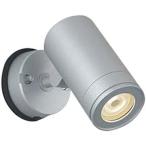  Koizumi освещение LED защита от дождя type подвижный светильник средний угол распределение свет лампа цвет серебряный покраска AU43659L