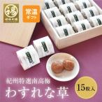 梅干し 香典返し お供え 仏事  はちみつ 南高梅干し 和歌山 南高梅 贈答 お礼 お返し 個包装 桐箱 送料無料 わすれな草 15粒入