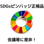 Yahoo! Yahoo!ショッピング(ヤフー ショッピング)SDGs 国連ガイドライン対応 ピンバッジ バッチ バッヂ 正規品 UN（丸型）