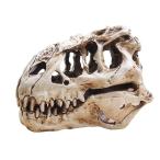 恐竜の頭蓋骨のレプリカ☆アクアリウム 鑑賞魚 水槽 装飾 グッズ 置物 T-Rex 化石 珍しい ユニーク インテリア 白 mo1