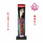  удар сверху фейерверк удар . вверх фейерверк ( слива запад удар сверху ) одиночный departure удар сверху ночь фейерверк 