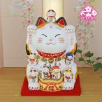 招き猫 置物 商売繁盛 招き猫の置物 (彩絵七福神招き猫(8.5号)両手招き) N41