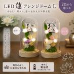 �������� ����(LED �@ �A�����W�h�[�� L)�K���X�h�[������ �h���C�t�����[ ���~ LED���C�g �d�r�� �z���C�g �s���N