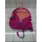 * Θ The * North * лицо THE NORTH FACE Kids рюкзак розовый серия E