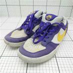 ◇ Θ ナイキ Nike SB フ�