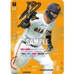 ドリームオーダー 【SSPP】BP01-