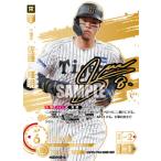 ドリームオーダー 【SSP】BP01-T