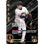 ドリームオーダー 【SSP】CBP03-