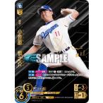 ドリームオーダー CBP04-D01 【