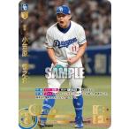 ドリームオーダー CBP04-D01 【