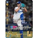 ドリームオーダー CBP04-D01 【