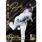 ドリームオーダー 【SSP】PBP02-