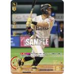 ドリームオーダー PBP04-H04 【