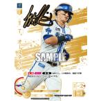 ドリームオーダー 【SSP】TBP01-