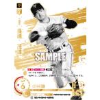 ドリームオーダー 【LG】TBP01-G