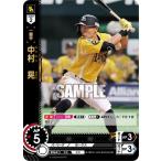 ドリームオーダー 【OR】TBP01-H