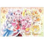 プリキュアカードウエハース9 No.19 フレッシュプリキュア！ SSR