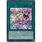 トリックスター・フェス - シークレット/LVDS-JPA05