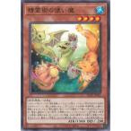 遊戯王 第13期/04弾/BLZD-JP022 精霊術の使い魔