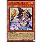 幻惑の見習い魔術師の画像