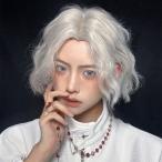  парик мужской мужчина оборудование короткий . парик пьеса природа передний . есть костюмированная игра модный симпатичный симпатичный маленький лицо исключительная эффективность костюм серебряный .
