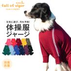 大型犬 服 冬 秋 大型犬用 ドッグプレイ(R) 体操服 ジャージ つなぎ  ロンパース 抜け毛対策 長袖 抗菌 防臭 UVカット