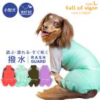 シャカシャカ 音がしない 犬 服 春 伸