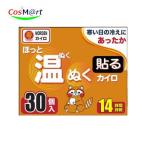 ho.. температура .. прикленить Кайро постоянный размер 30 штук 14 час .. одежда . прикленить защищающий от холода Кайро защищающий от холода товары большая вместимость одноразовый Кайро предотвращение бедствий бедствие стратегический запас (4595058480158)