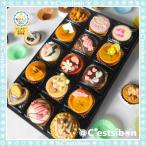 セシボン-Cestsibon-プチケーキ15個入