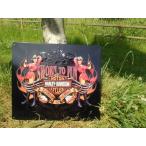 【 エンボスメタルサイン15 】H-D SWORN TO FUN BABES【 ハーレーダヴィッドソン ハーレーダビットソン 】【 看板 メタルサイン アメ雑 アメリカン雑貨 ガレージ