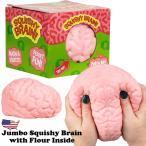 脳みそ スクイーズ おもちゃ ストレス解消 癒し 人体模型 ストレス発散 減圧 スクイーズ玩具 ぷにぷに 握る ストレスボール アメリカ雑貨 海外輸入品