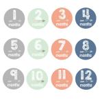  новый bo-n фото карта 12. месяц комплект наклейка модель 12 man s Lee фото в подарок .