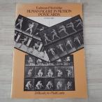  открытка [ Edward * мой Bridge Eadweard Muybridge HUMAN FIGURE IN MOTION POSTCARDS : 24 Ready-to-Mail Cards] 24 листов 