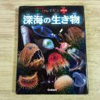  иллюстрированная книга [. ...... плюс глубокий море. живое существо ].... только . Gakken . иллюстрированная книга море. живое существо глубокий море рыба глубокий море живое существо 