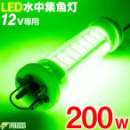 集魚灯 グリーン 200w LED 集魚ライト 水中集魚灯 16000ルーメン 12v 緑 ライト