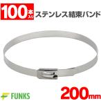 結束バンド ステンレス 200mm ケーブルタイ ステンレスバンド 屋外 セット タイバンド 100本セット