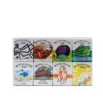 Winsor  Newton ウィンザーニュートン ドローイングインク 14ml 8色Wセット