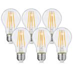 Tengyuan LED電球 エジソン電球 E26口金 フィラメント電球 60W形相当 電球色 6W 820lm 省エネ レトロ ペンダント