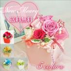 母の日 遅れてごめんね　送料無料 ギフト 「Newメアリー」 クリアケース付　フラデコ　プリザーブドフラワー　可愛い　プレゼント