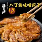ショッピングぎょうざ 風来坊 八丁鶏味噌餃子 120個セット | 名古屋名物 みそ ぎょうざ 冷凍食品 お取り寄せ グルメ 鶏肉 ギフト 贈り物 お歳暮 御歳暮