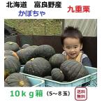 富良野産 カボチャ 九重栗　1０ｋｇ箱(4〜8玉入）【有機栽培】