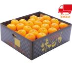  бесплатная доставка по всей стране бесплатная доставка 2025 подарок по случаю конца года . лет . подарок по случаю конца года подарок зимний подарок подарок Ehime префектура производство JA запад . мир тест .. мандарин (5kg) еда стоимость товар производство прямой сельское хозяйство производство сельское хозяйство производство предмет 
